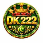 DK222 Game